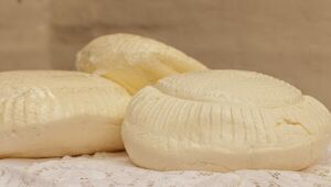 Lácteos SGA, un tambo familiar que elabora queso Paraguay auténticamente artesanal en San José de los Arroyos
