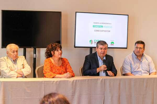 Industria forestal busca posicionarse como uno de los principales rubros de la economía paraguaya - .::Agencia IP::.
