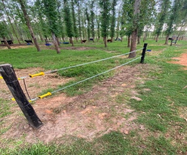 Las cercas eléctricas se imponen sobre el manejo de la ganadería intensiva