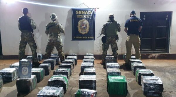 Detectan más de 700 kilos de droga en zona ribereña de Alto Paraná - Radio Imperio