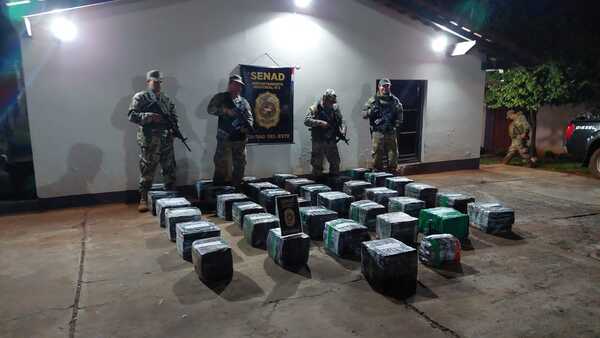 Incautan más de 700 kilos de marihuana en operativo de seguridad en zona ribereña de Pikyry