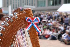 Hoy celebramos el Día Nacional del Arpa Paraguaya