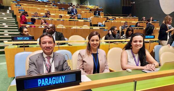 La Nación / Paraguay fue electo miembro del Consejo Económico y Social de la ONU