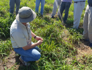 Promueven la adopción de tecnologías en el sector agropecuario de Paraguay | 1000 Noticias