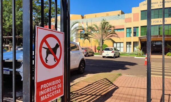 Prohíben ingreso de mascotas al campus de la UNE