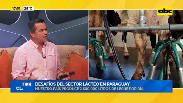 Video: Desafíos del sector lácteo en Paraguay - Factor Clave - ABC Color