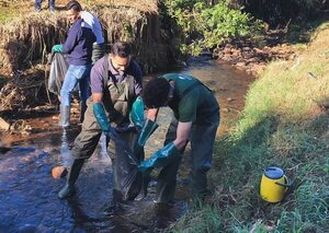 Retiran gran cantidad de residuos del arroyo Saltito de Ciudad del Este - ABC en el Este - ABC Color