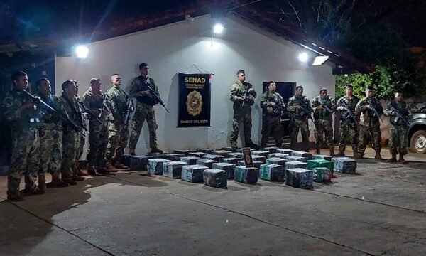 Senad incauta más de 700 kilos de marihuana a orillas del Lago Itaipú – Diario TNPRESS