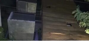Ascensor se desplomó y karai quedó con fracturas