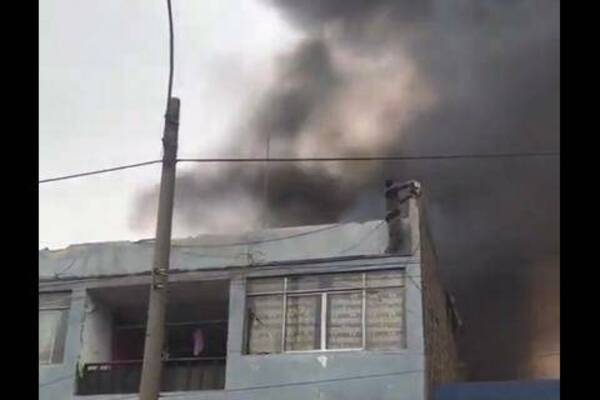 [VIDEO] ¡Un héroe! Rescató 25 firulais de un incendio