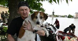 La Nación / Ucrania: rescate de animales, la otra lucha en ciudad inundada