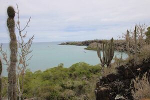 El Gobierno de Ecuador niega haber cedido soberanía de las Islas Galápagos con un canje de deuda - MarketData
