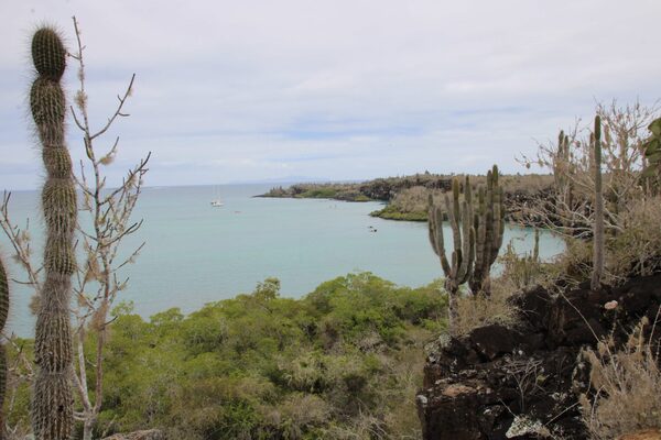El Gobierno de Ecuador niega haber cedido soberanía de las Islas Galápagos con un canje de deuda - MarketData
