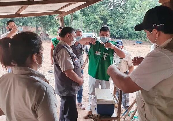 Senacsa reconoce problemas en campaña contra brucelosis - Nacionales - ABC Color