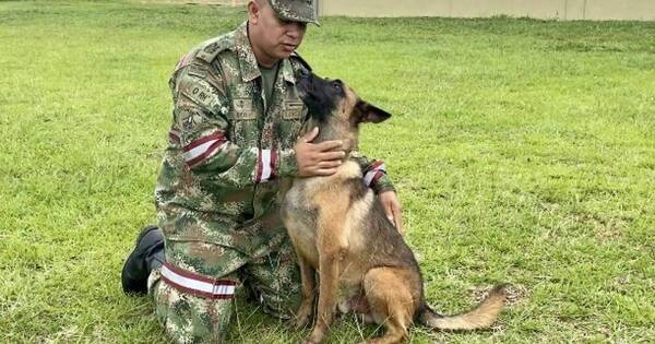 La Nación / Sigue la búsqueda de Wilson en selva colombiana