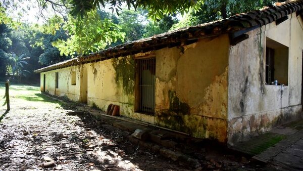 Botánico de Asunción sucumbe por desidia y pésima gestión municipal