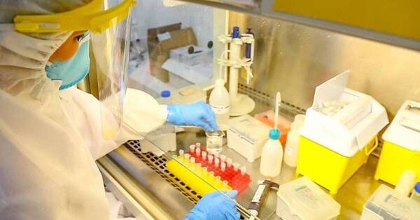 La Nación / Vacuna contra la gripe aviar todavía causa incertidumbre, afirman