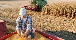 La Nación / Repunte económico de Paraguay se sustenta en el agro y la maquila