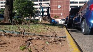 Cajonean proyectos que habrían ayudado al IPS - Política - ABC Color