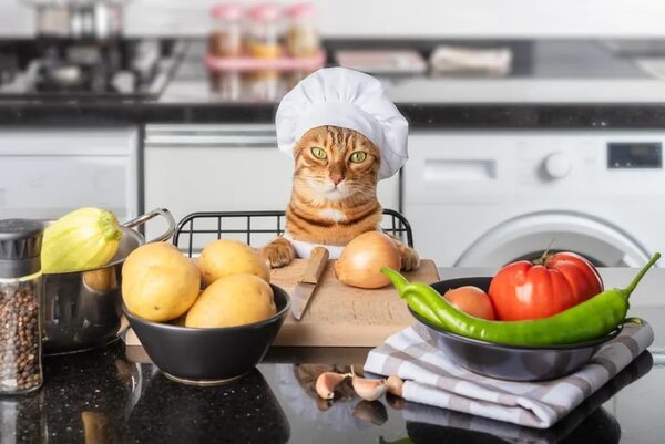 Dos recetas caseras y nutritivas para alimentar a tu gato - Mascotas - ABC Color