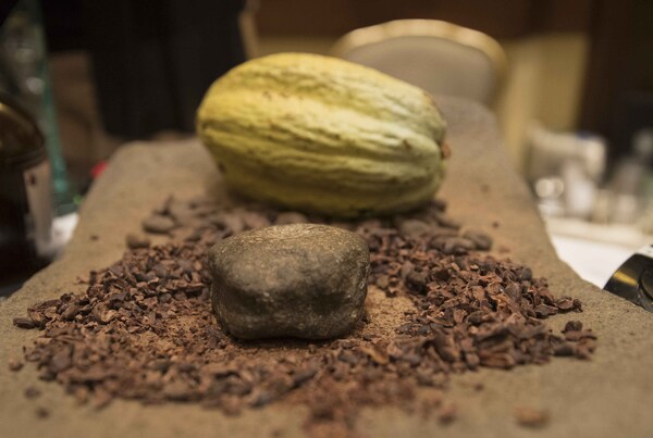 Siete cooperativas de Nicaragua dan un "salto cacaotero" con proyecto financiado por Suiza - MarketData