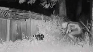 [VIDEO] ¡¿Ou hína?!: aseguran haber filmado a un extraterrestre ndajeko