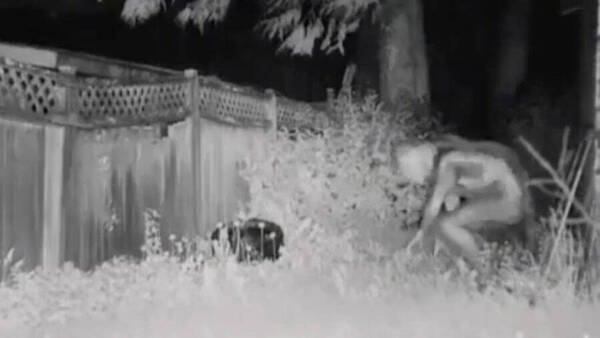[VIDEO] ¡¿Ou hína?!: aseguran haber filmado a un extraterrestre ndajeko