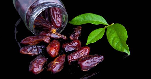 La Nación / Dátiles: la fruta de Medio Oriente que crece en el Chaco paraguayo
