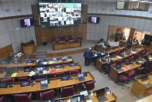 Senado estudiará depurar el padrón electoral ante denuncias de traslados masivos - Política - ABC Color