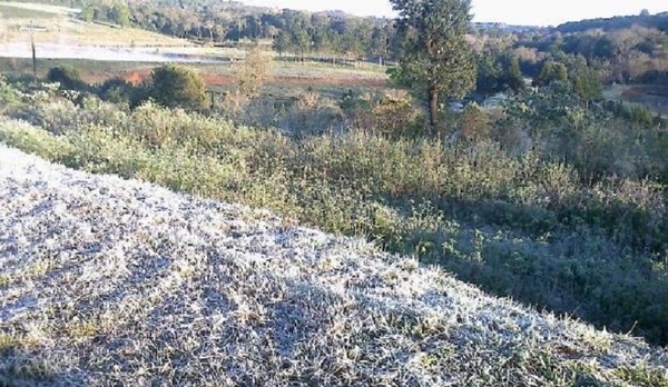 TEMPERATURAS DE 3°C Y ESCARCHAS: SEMANA DE INTENSO FRÍO, ANUNCIA METEOROLOGÍA - Itapúa Noticias