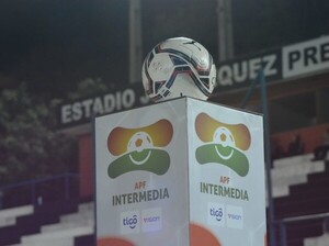 Datos estadísticos del decimosegundo episodio - APF