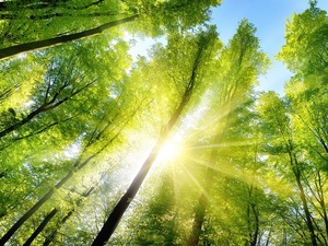 El futuro del medio ambiente en pro de la calidad de vida - La Tribuna