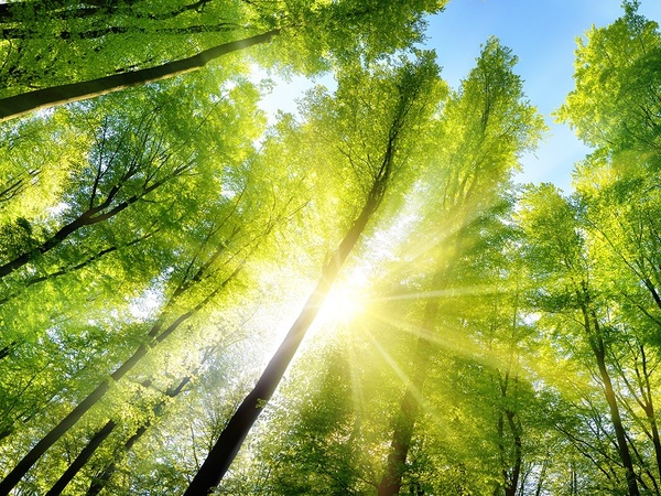 El futuro del medio ambiente en pro de la calidad de vida - La Tribuna