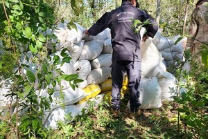 Senad se incauta de miles de kilos de droga en el Norte, Sur y Este del país, pero no informa sobre narcos detenidos – La Mira Digital