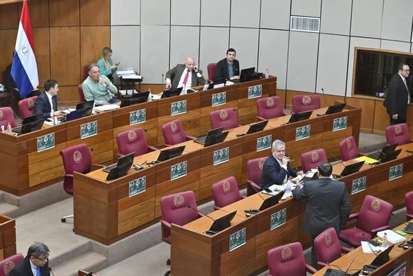 Senado aprueba que policías “blanqueados” con medidas alternativas sigan en funciones - Política - ABC Color