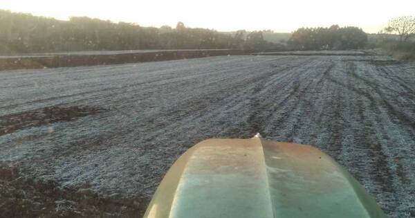La Nación / Probabilidades de fenómeno El Niño y heladas son más del 80 %, dice Inbio