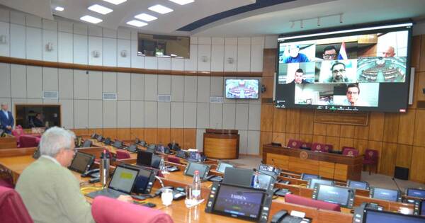 La Nación / Senado avanza el estudio de artículos sobre reforma de la Policía Nacional