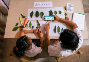 Conacyt premiará las mejores fotografías científicas | Tecnología | 5Días