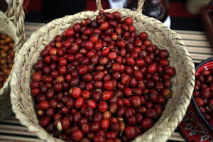 Las ventas de café brasileño en el exterior caen un 17,4 % en mayo - MarketData