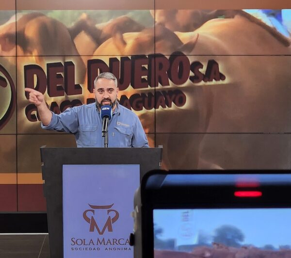 Sola Marca remató terneros cbo 3 de Agroganadera La Huella a Gs. 15.899 de promedio
