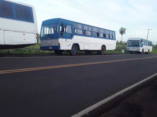 Abandonaron 6 buses pertenecientes a presunto pastor narco | 1000 Noticias