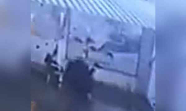 (VIDEO)Salen a la luz video de los tres que asesinaron a guardia de seguridad a sangre fría