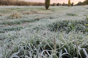 Diario HOY | El Chaco registró la temperatura más baja, con marca de -0,2 °C