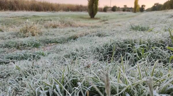 La temperatura más baja, de -0,2 °C se registró en el Chaco. – Prensa 5