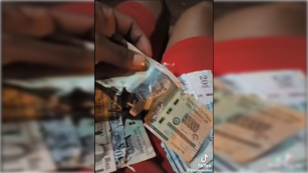 [VIDEO] Tenía su plata guardada debajo del colchón y los ratones ¡se comieron los billetes!