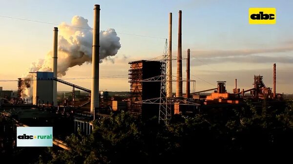 Video: 70 % de gases de efecto invernadero son de las ciudades - ABC Rural - ABC Color