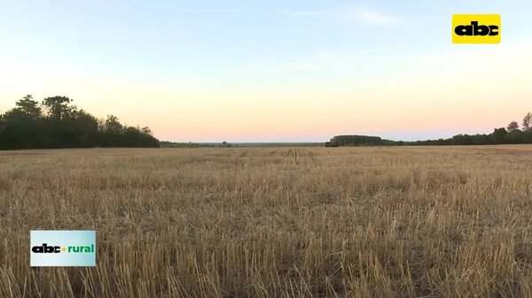 Video: Congreso de Ciencia del Suelo en setiembre - ABC Rural - ABC Color