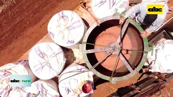 Video: Congreso paraguayo de semillas para agosto - ABC Rural - ABC Color