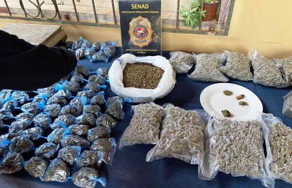 Hallan marihuana tipo creepy en Caacupé •