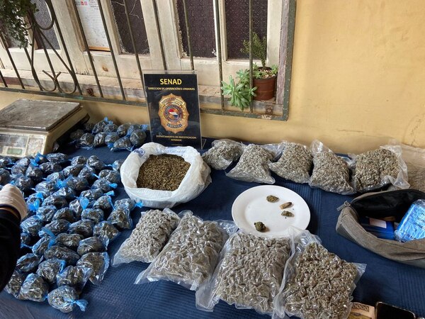 Diario HOY | Anulan "minimercado" de drogas en Caacupé donde vendían la "marihuana Creepy"